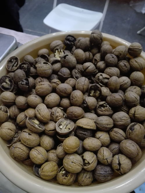 從螞蟻山到會展中心 一顆果子的鄉(xiāng)愁之旅