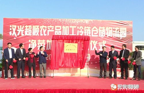 五華農(nóng)產(chǎn)品冷鏈倉儲物流園凈菜加工廠投產(chǎn)，助推農(nóng)產(chǎn)品初加工服務(wù)升級
